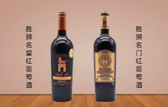 勝獅名門紅葡萄酒 Noble de Saint-Lion 法國(guó)可貝爾